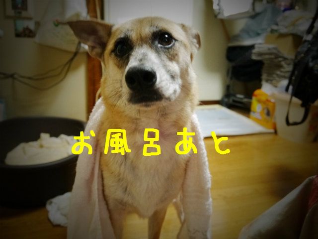 f0218911_14135383.jpg