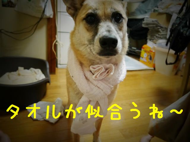 f0218911_1414314.jpg