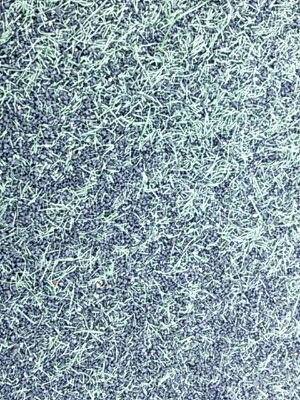 a0275715_1501467.jpg