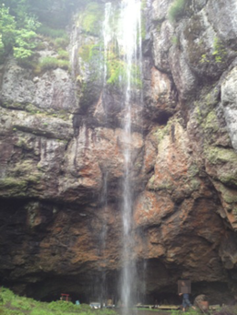 b0121019_2137590.png