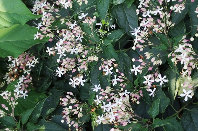 f0214527_1039372.jpg