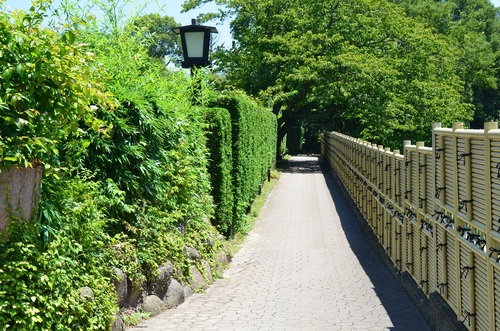 f0124830_22112986.jpg