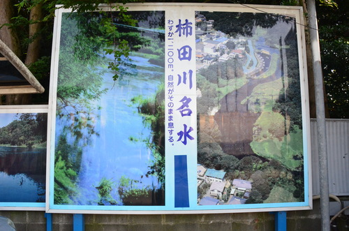 f0124830_22484536.jpg