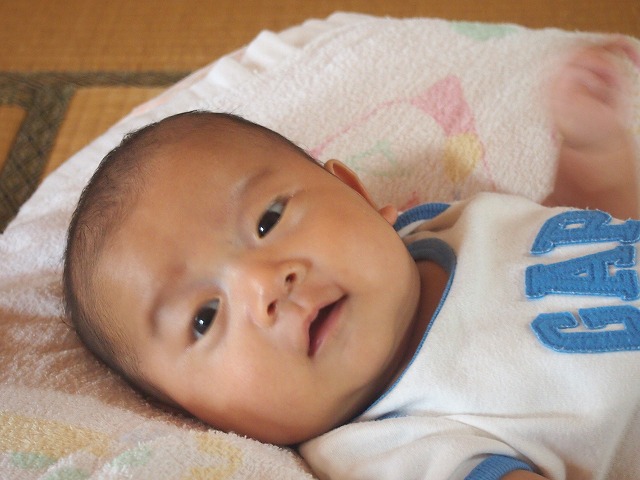 a0280635_8404965.jpg