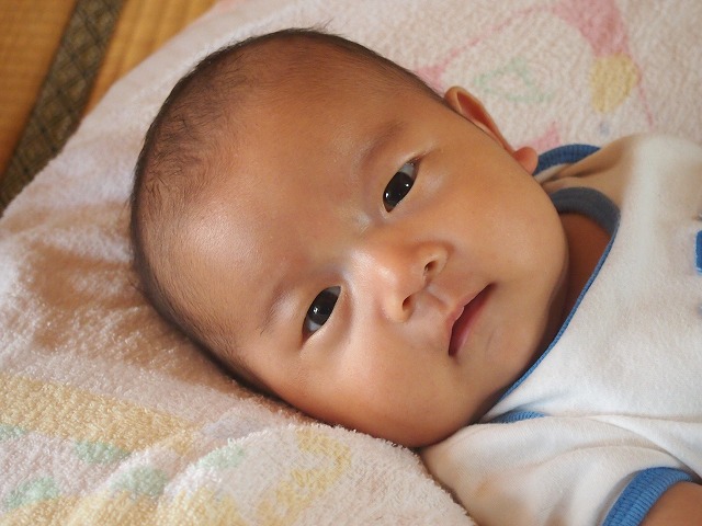 a0280635_8412011.jpg
