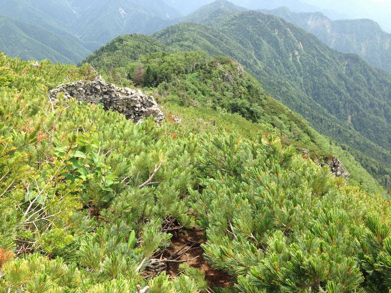 d0063538_11285850.jpg
