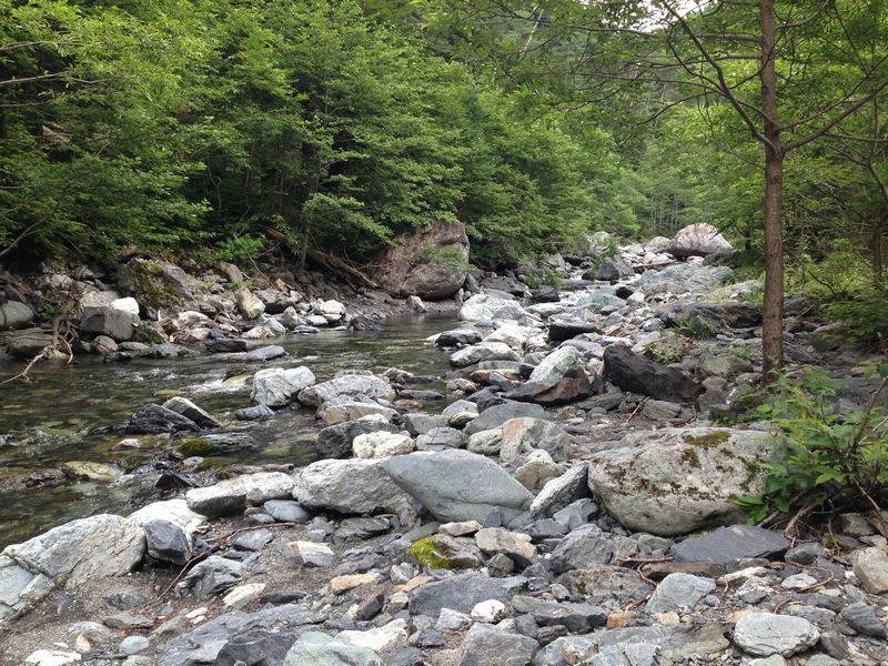 d0063538_11301311.jpg