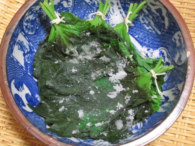 b0097747_1425546.jpg