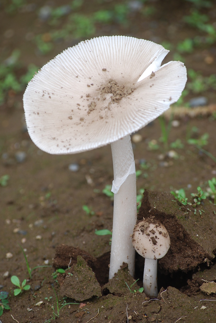 f0000148_1345987.jpg