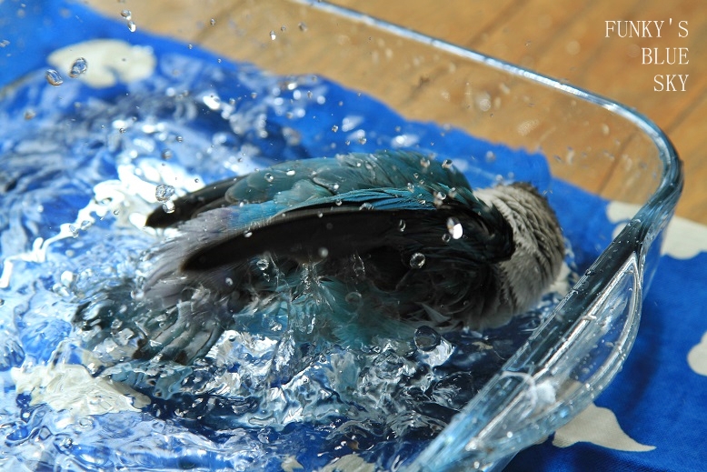 c0145250_11254332.jpg