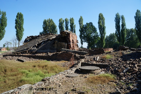 c0206352_636365.jpg