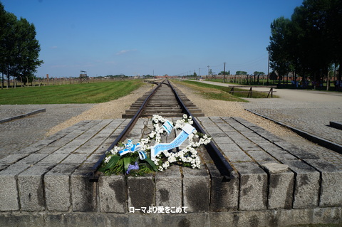 c0206352_730473.jpg