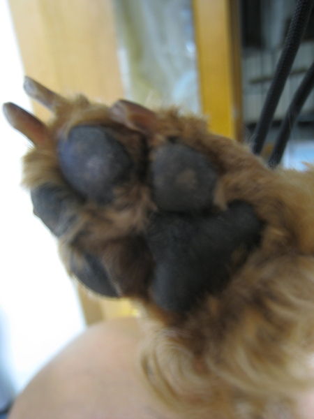 f0233356_18125519.jpg