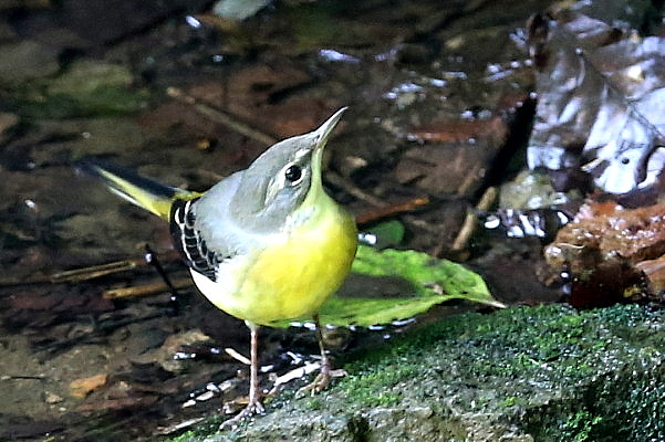 f0215964_10105219.jpg