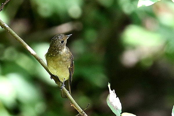 f0215964_10121627.jpg