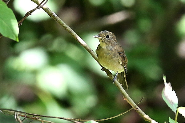 f0215964_10122334.jpg