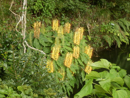 e0292172_20575822.jpg