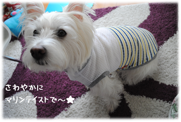 b0242873_1244793.png