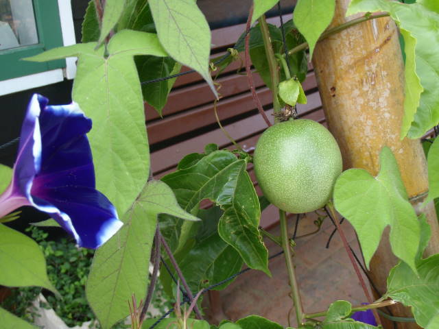 a0113874_20112558.jpg