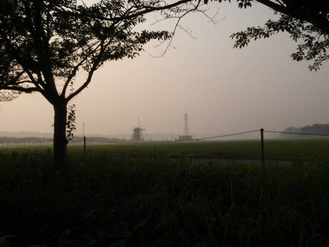 a0113874_2074523.jpg