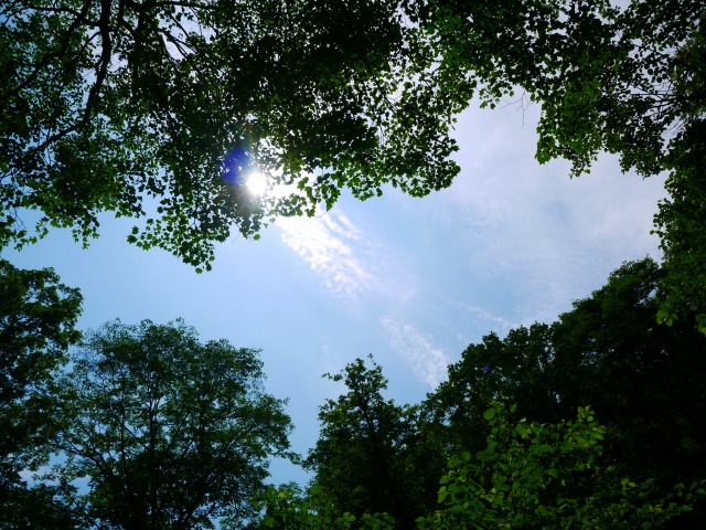 a0250576_1542672.jpg