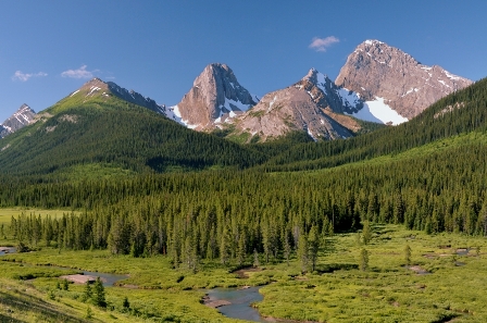 a0047577_1632581.jpg