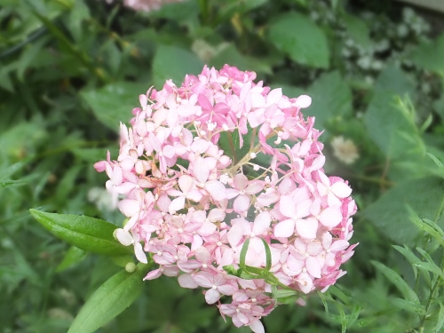 c0078586_20271681.jpg