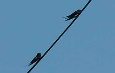 c0039487_2332544.jpg