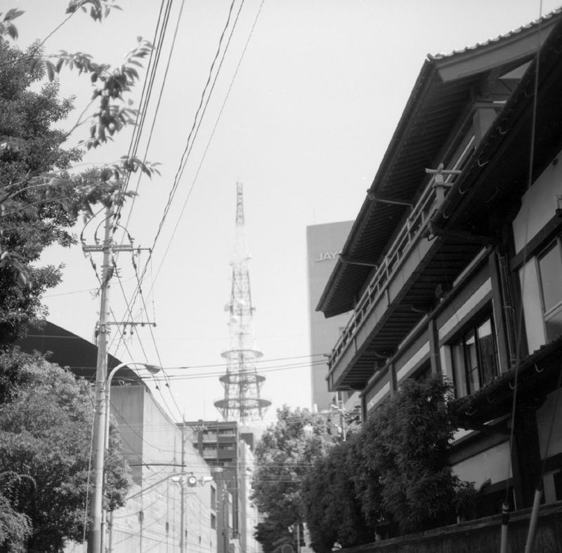 f0161595_140285.jpg