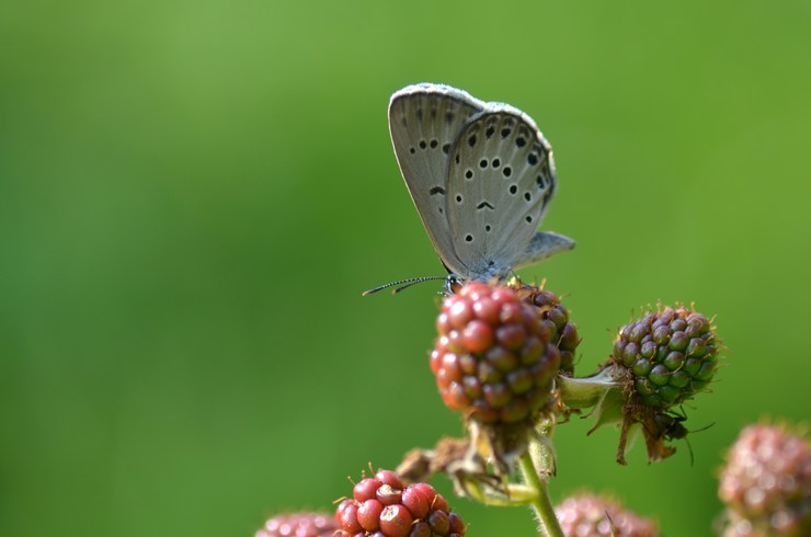 a0277496_1825528.jpg