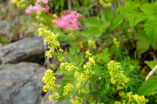 e0304001_1410409.jpg