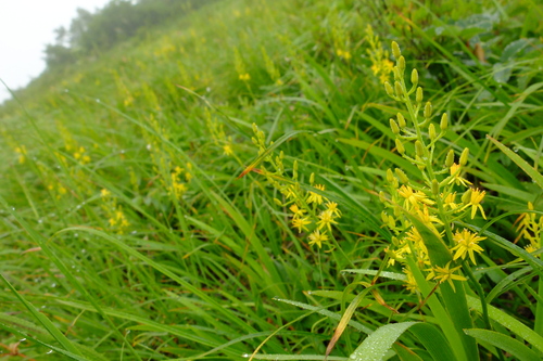 e0304001_14114396.jpg