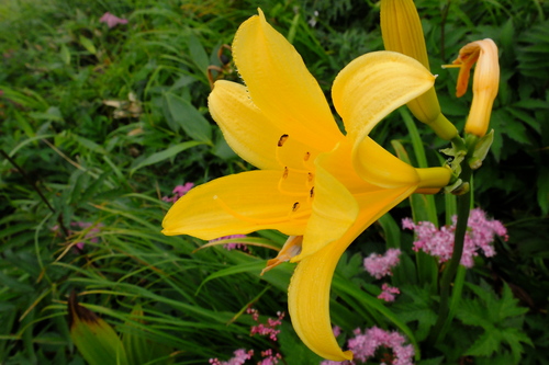 e0304001_14154140.jpg