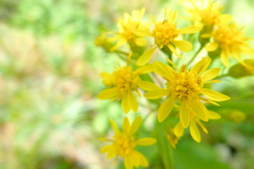 e0304001_14201165.jpg