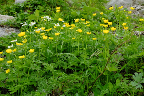 e0304001_14225330.jpg