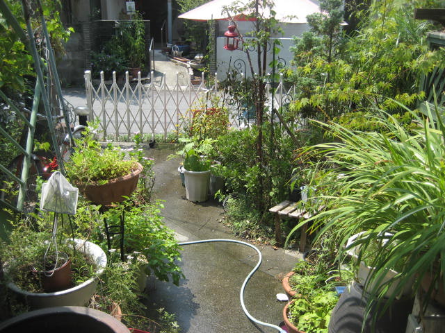f0139520_1201119.jpg