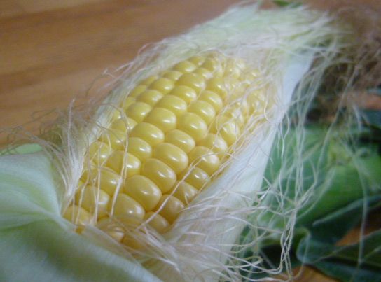 c0013922_93426.jpg