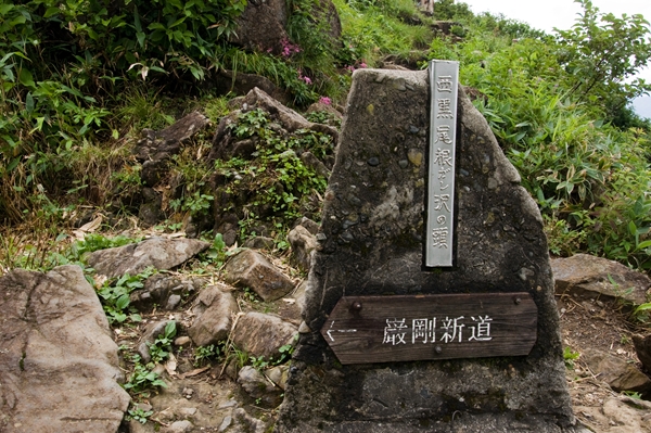 f0040525_20454348.jpg