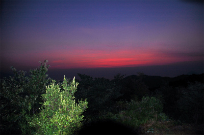 e0272335_2081115.jpg