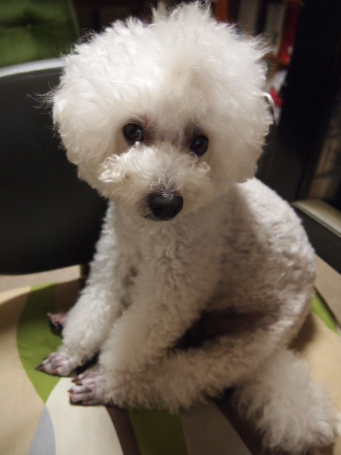 c0117239_10231049.jpg