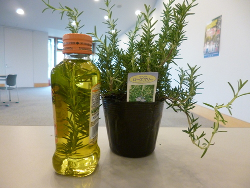 c0233141_1644457.jpg