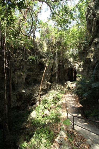 e0227942_1223463.jpg