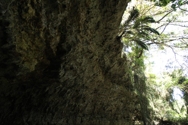 e0227942_15738.jpg