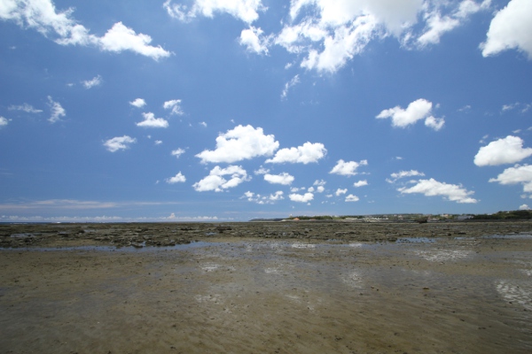 e0227942_2224899.jpg