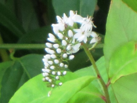 b0289649_2020186.jpg