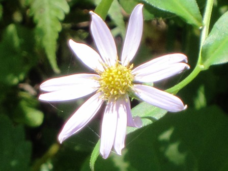 b0289649_20214940.jpg