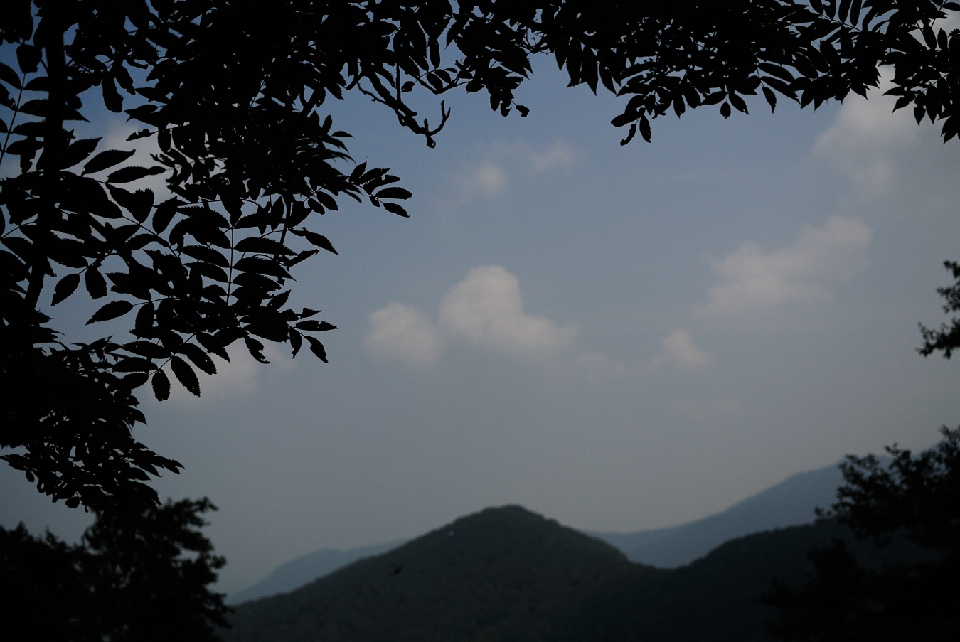 e0259251_202530100.jpg