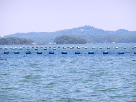c0127460_16274166.jpg