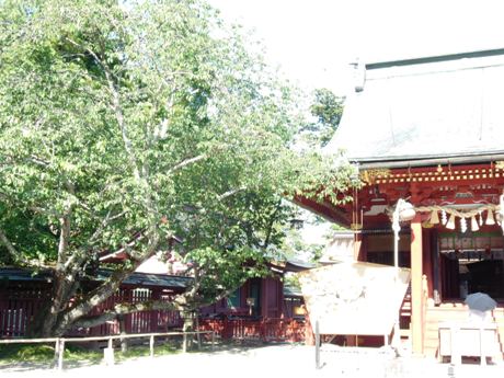 c0127460_16595619.jpg