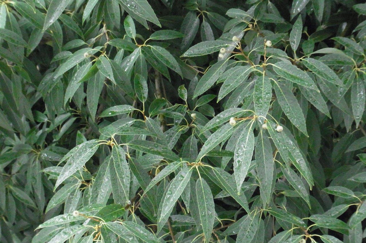 a0123465_23585580.jpg